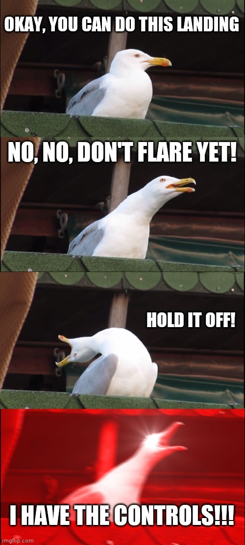 Inhaling Seagull | OKAY, YOU CAN DO THIS LANDING; NO, NO, DON'T FLARE YET! HOLD IT OFF! I HAVE THE CONTROLS!!! | image tagged in memes,inhaling seagull,flying,fly,pilot,flight | made w/ Imgflip meme maker