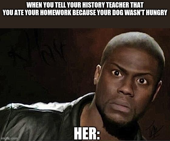 Kevin Hart Meme | WHEN YOU TELL YOUR HISTORY TEACHER THAT YOU ATE YOUR HOMEWORK BECAUSE YOUR DOG WASN'T HUNGRY; HER: | image tagged in memes,kevin hart | made w/ Imgflip meme maker
