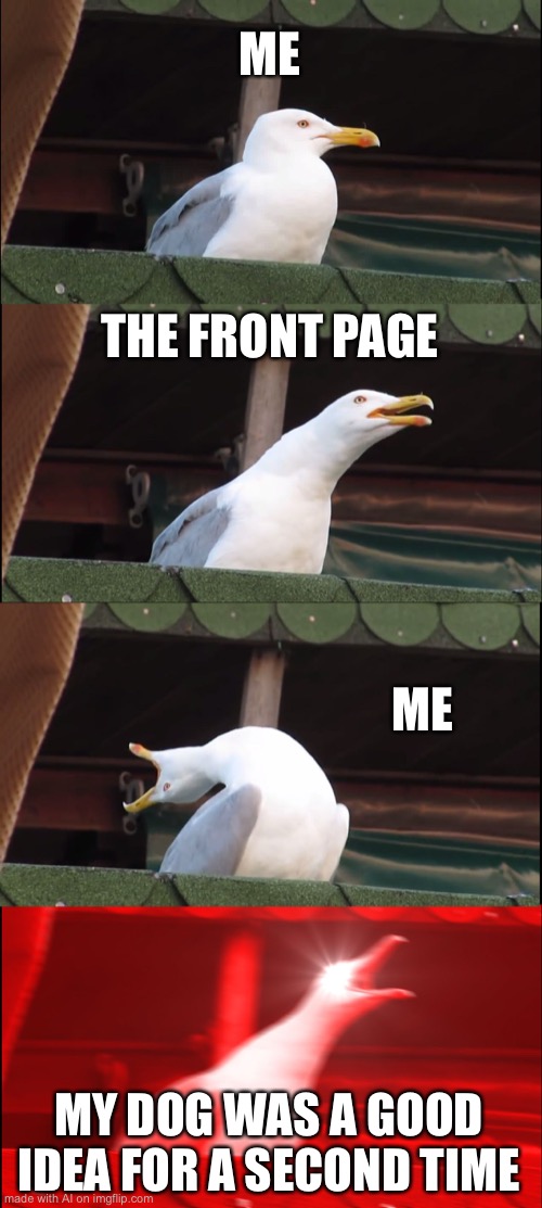 The dumbest AI meme ever | ME; THE FRONT PAGE; ME; MY DOG WAS A GOOD IDEA FOR A SECOND TIME | image tagged in memes,inhaling seagull | made w/ Imgflip meme maker