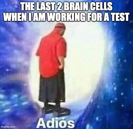 Adios | THE LAST 2 BRAIN CELLS WHEN I AM WORKING FOR A TEST | image tagged in adios | made w/ Imgflip meme maker