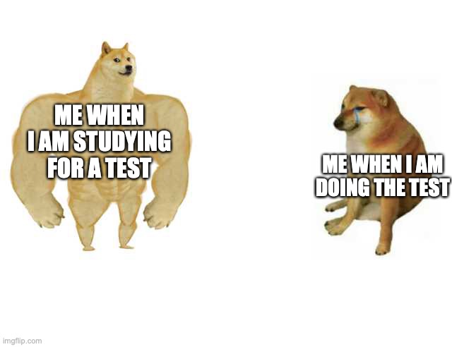 Buff Doge vs. Cheems | ME WHEN I AM STUDYING FOR A TEST; ME WHEN I AM DOING THE TEST | image tagged in strong doge weak doge | made w/ Imgflip meme maker