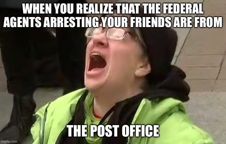 5D chess | WHEN YOU REALIZE THAT THE FEDERAL AGENTS ARRESTING YOUR FRIENDS ARE FROM; THE POST OFFICE | image tagged in trump,triggered liberal,usps | made w/ Imgflip meme maker