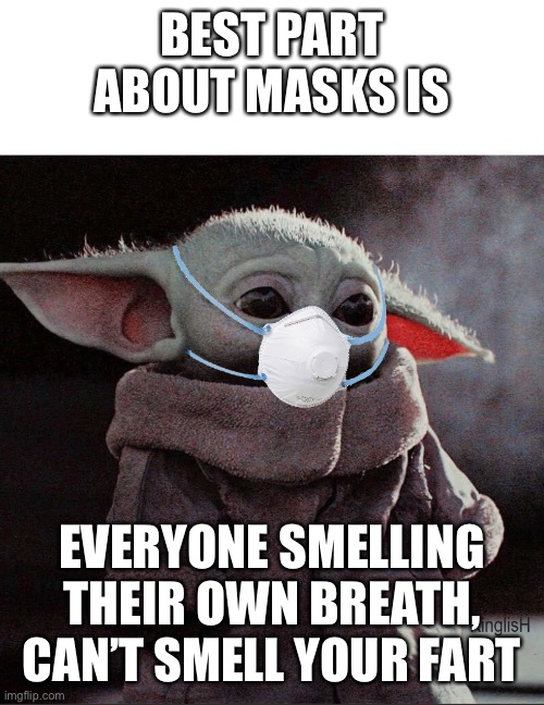 True Freedom | BEST PART ABOUT MASKS IS; EVERYONE SMELLING THEIR OWN BREATH, CAN’T SMELL YOUR FART | image tagged in coronavirus baby yoda | made w/ Imgflip meme maker