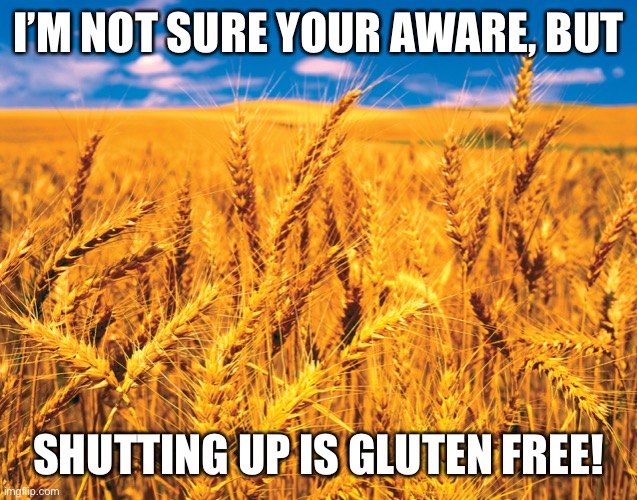 Gluten free | I’M NOT SURE YOUR AWARE, BUT; SHUTTING UP IS GLUTEN FREE! | image tagged in gluten free,shut up | made w/ Imgflip meme maker