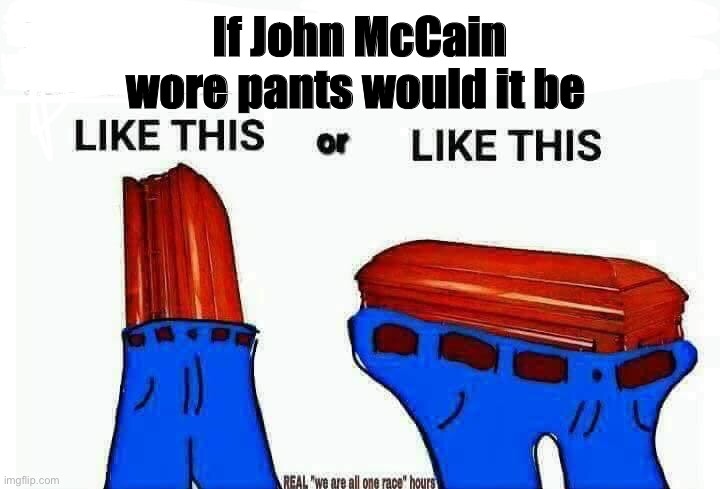 If John McCain wore pants would it be | image tagged in blm | made w/ Imgflip meme maker