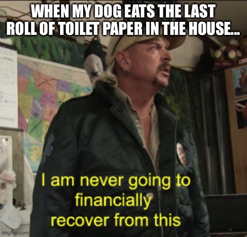 Coronavirus Mood | WHEN MY DOG EATS THE LAST ROLL OF TOILET PAPER IN THE HOUSE... | image tagged in joe exotic financially recover,coronavirus,toilet paper | made w/ Imgflip meme maker