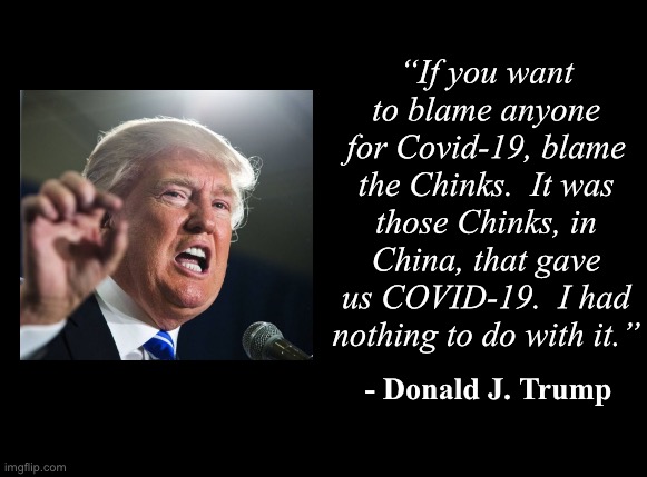standard black blank template | “If you want to blame anyone for Covid-19, blame the Chinks.  It was those Chinks, in China, that gave us COVID-19.  I had nothing to do with it.”; - Donald J. Trump | image tagged in standard black blank template | made w/ Imgflip meme maker