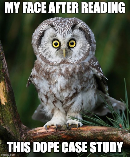 Owl | MY FACE AFTER READING; THIS DOPE CASE STUDY | image tagged in owl | made w/ Imgflip meme maker