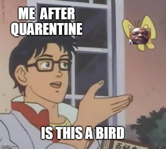 Is This A Pigeon | ME  AFTER QUARENTINE; IS THIS A BIRD | image tagged in memes,is this a pigeon | made w/ Imgflip meme maker