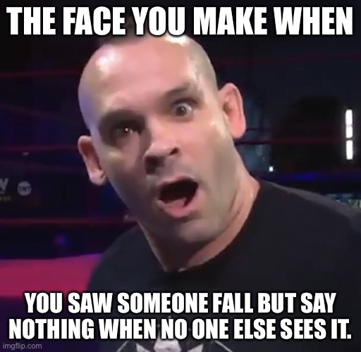 When... | THE FACE YOU MAKE WHEN; YOU SAW SOMEONE FALL BUT SAY NOTHING WHEN NO ONE ELSE SEES IT. | image tagged in ya don t say | made w/ Imgflip meme maker