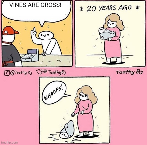 Whoops! Baby | VINES ARE GROSS! | image tagged in whoops baby | made w/ Imgflip meme maker