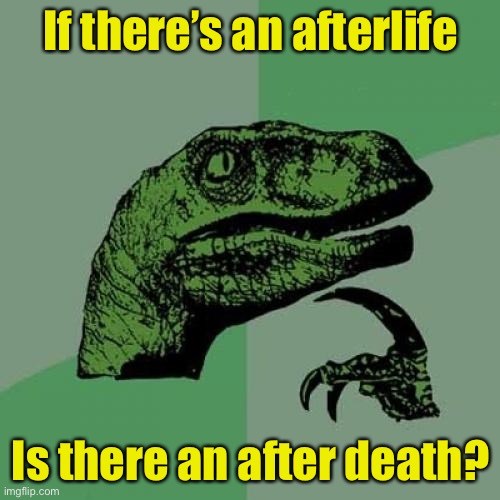 Philosoraptor Meme | If there’s an afterlife; Is there an after death? | image tagged in memes,philosoraptor | made w/ Imgflip meme maker
