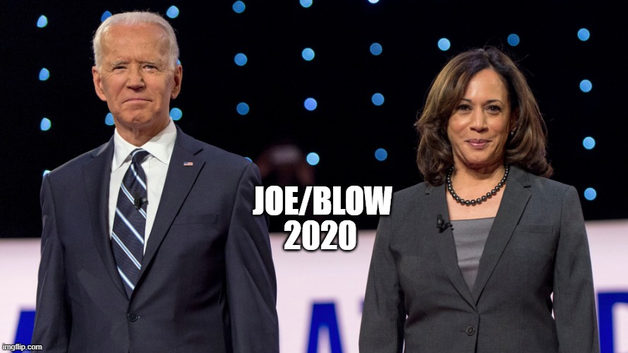 Joe/Blow 2020 | 2020; JOE/BLOW | image tagged in joe biden,kamala harris,democrats,campaign | made w/ Imgflip meme maker