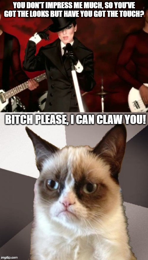 YOU DON'T IMPRESS ME MUCH, SO YOU'VE GOT THE LOOKS BUT HAVE YOU GOT THE TOUCH? BITCH PLEASE, I CAN CLAW YOU! | image tagged in musically malicious grumpy cat,shania twain,grumpy cat,music meme,grumpy cat not amused | made w/ Imgflip meme maker