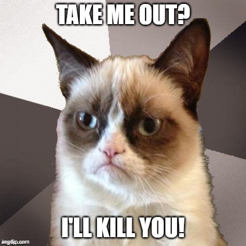 Musically Malicious Grumpy Cat | TAKE ME OUT? I'LL KILL YOU! | image tagged in musically malicious grumpy cat,grumpy cat,music meme,rock music,grumpy cat not amused | made w/ Imgflip meme maker