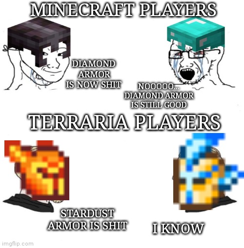 Minecraft or Terraria? | MINECRAFT PLAYERS; DIAMOND ARMOR IS NOW SHIT; NOOOOO... DIAMOND ARMOR IS STILL GOOD; TERRARIA PLAYERS; STARDUST ARMOR IS SHIT; I KNOW | image tagged in chad we know | made w/ Imgflip meme maker