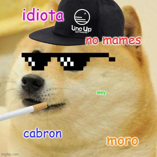 doge ganster | idiota; no mames; wey; cabron; moro | image tagged in doge,ganster | made w/ Imgflip meme maker