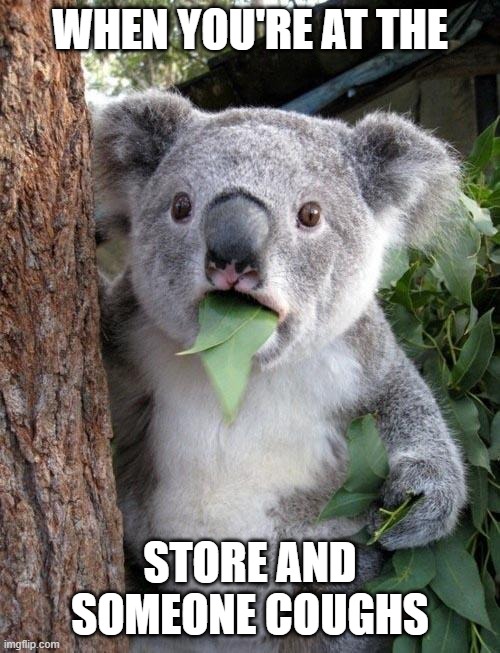 Suprised Koala | WHEN YOU'RE AT THE; STORE AND SOMEONE COUGHS | image tagged in suprised koala | made w/ Imgflip meme maker