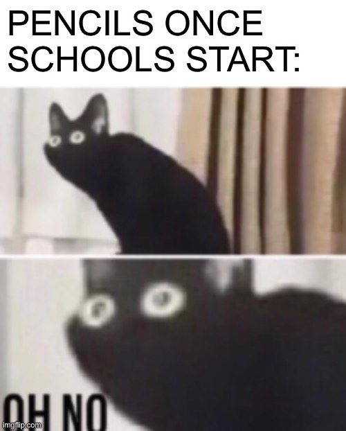 F for the pencils | PENCILS ONCE SCHOOLS START: | image tagged in oh no cat,memes,funny,pencils | made w/ Imgflip meme maker