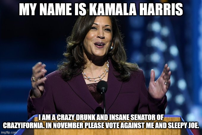 kamala harris crazy liar | MY NAME IS KAMALA HARRIS; I AM A CRAZY DRUNK AND INSANE SENATOR OF CRAZYIFORNIA. IN NOVEMBER PLEASE VOTE AGAINST ME AND SLEEPY JOE. | image tagged in california,donald trump approves,kamala harris lunatic,kamala harris,california fires,election 2020 | made w/ Imgflip meme maker