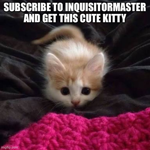 cute kitty | SUBSCRIBE TO INQUISITORMASTER AND GET THIS CUTE KITTY | image tagged in funny | made w/ Imgflip meme maker