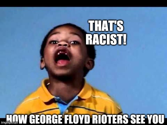 That's racist 2 | THAT'S RACIST! HOW GEORGE FLOYD RIOTERS SEE YOU | image tagged in that's racist 2 | made w/ Imgflip meme maker