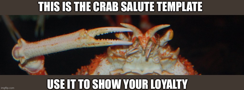 Credit it Himiko__Toga for the template | THIS IS THE CRAB SALUTE TEMPLATE; USE IT TO SHOW YOUR LOYALTY | image tagged in crab salute | made w/ Imgflip meme maker