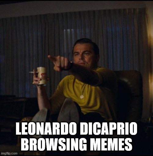 Leonardo DiCaprio Pointing | LEONARDO DICAPRIO BROWSING MEMES | image tagged in leonardo dicaprio pointing | made w/ Imgflip meme maker