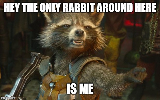 Rocket Raccoon | HEY THE ONLY RABBIT AROUND HERE IS ME | image tagged in rocket raccoon | made w/ Imgflip meme maker