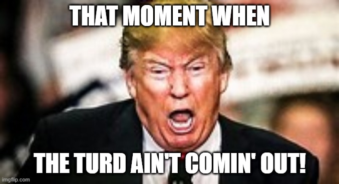 Terrible Turd! | THAT MOMENT WHEN; THE TURD AIN'T COMIN' OUT! | image tagged in baby donald | made w/ Imgflip meme maker