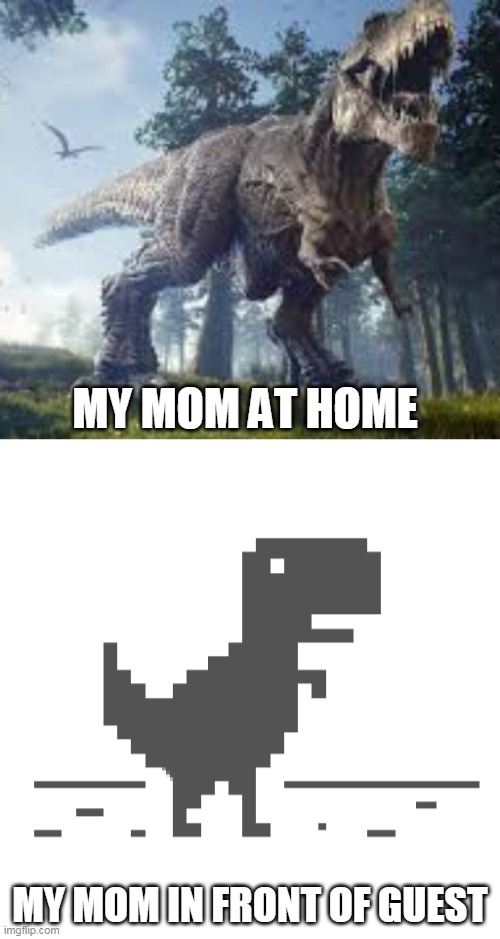 MY MOM AT HOME; MY MOM IN FRONT OF GUEST | image tagged in funny | made w/ Imgflip meme maker