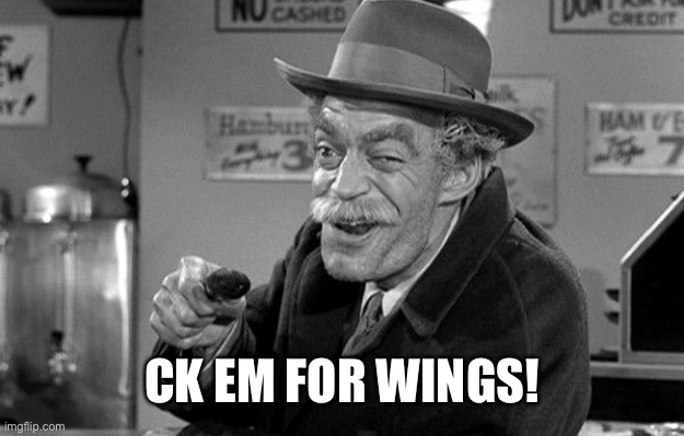 Check him for wings | CK EM FOR WINGS! | image tagged in check him for wings | made w/ Imgflip meme maker