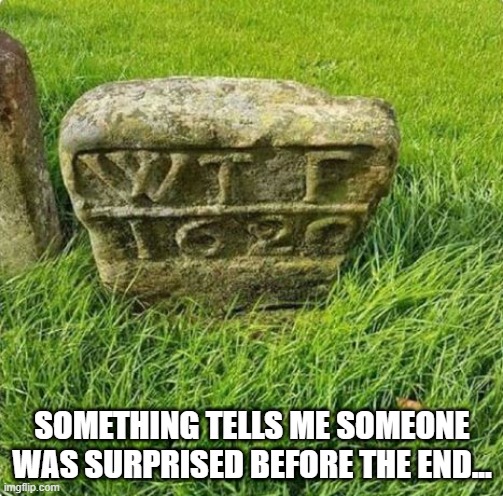 WTF! | SOMETHING TELLS ME SOMEONE WAS SURPRISED BEFORE THE END... | image tagged in funny image | made w/ Imgflip meme maker