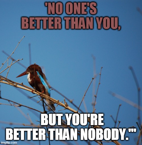 go kamala | 'NO ONE'S BETTER THAN YOU, BUT YOU'RE BETTER THAN NOBODY.'" | image tagged in political meme | made w/ Imgflip meme maker
