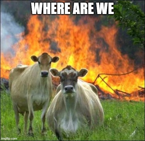 Evil Cows Meme | WHERE ARE WE | image tagged in memes,evil cows | made w/ Imgflip meme maker