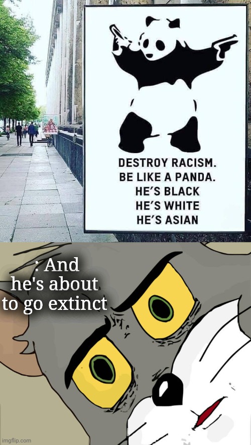 Now that's a bad example | : And he's about to go extinct | image tagged in memes,unsettled tom,destroy racism panda,racism | made w/ Imgflip meme maker