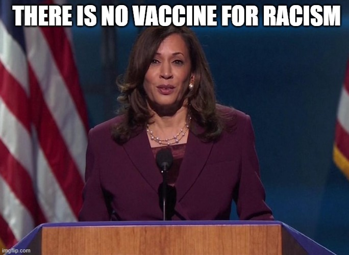 There is no vaccine for racism | THERE IS NO VACCINE FOR RACISM | image tagged in kamala harris | made w/ Imgflip meme maker