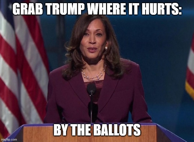 Grab Trump Where It Hurts: By The Ballots | GRAB TRUMP WHERE IT HURTS:; BY THE BALLOTS | image tagged in kamala harris | made w/ Imgflip meme maker