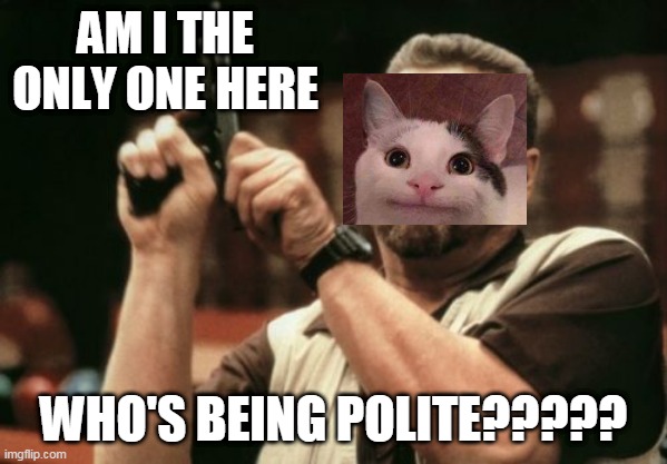 Am I The Only One Around Here | AM I THE ONLY ONE HERE; WHO'S BEING POLITE????? | image tagged in memes,am i the only one around here | made w/ Imgflip meme maker