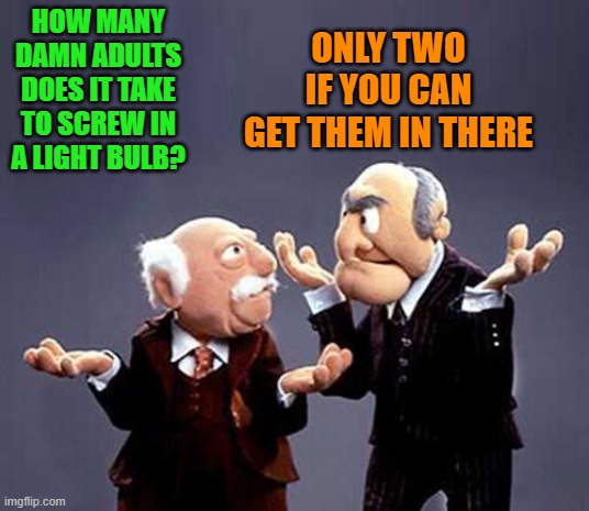just for laughs | ONLY TWO IF YOU CAN GET THEM IN THERE; HOW MANY DAMN ADULTS DOES IT TAKE TO SCREW IN A LIGHT BULB? | image tagged in statler and waldorf,joke | made w/ Imgflip meme maker