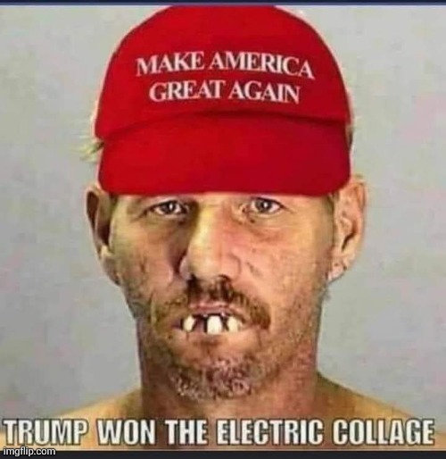 image tagged in electoral college | made w/ Imgflip meme maker