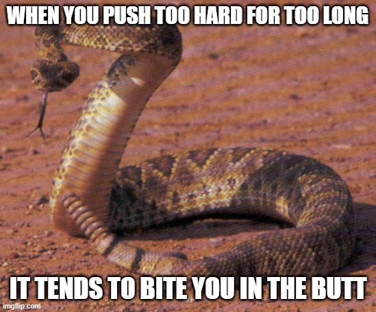 snake bite  | WHEN YOU PUSH TOO HARD FOR TOO LONG; IT TENDS TO BITE YOU IN THE BUTT | image tagged in snake bite | made w/ Imgflip meme maker