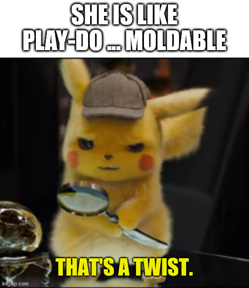 That's a Twist | SHE IS LIKE PLAY-DO ... MOLDABLE | image tagged in that's a twist | made w/ Imgflip meme maker