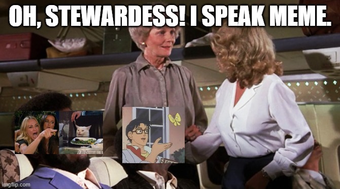 I speak meme. | OH, STEWARDESS! I SPEAK MEME. | image tagged in airplane jive | made w/ Imgflip meme maker