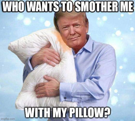 image tagged in pillow,trump | made w/ Imgflip meme maker