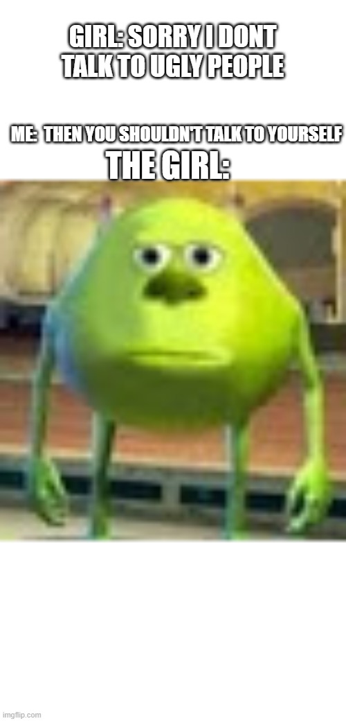 Sully Wazowski | GIRL: SORRY I DONT TALK TO UGLY PEOPLE; ME:  THEN YOU SHOULDN'T TALK TO YOURSELF; THE GIRL: | image tagged in sully wazowski | made w/ Imgflip meme maker