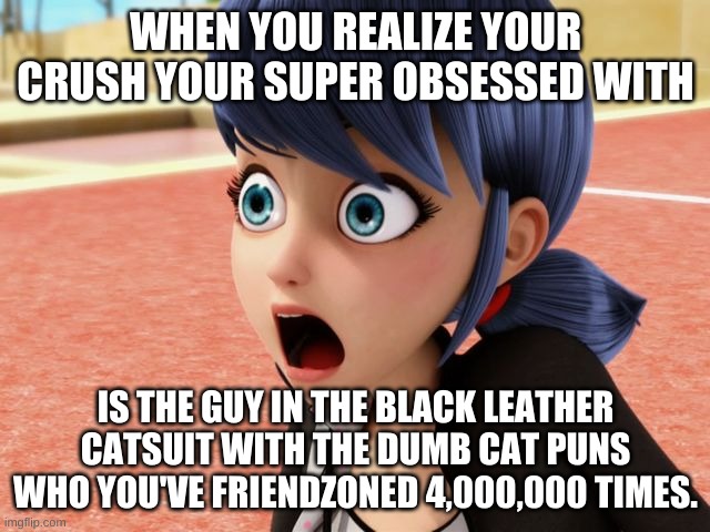 This is the reveal done right. | WHEN YOU REALIZE YOUR CRUSH YOUR SUPER OBSESSED WITH; IS THE GUY IN THE BLACK LEATHER CATSUIT WITH THE DUMB CAT PUNS WHO YOU'VE FRIENDZONED 4,000,000 TIMES. | image tagged in miraculous marinette scared | made w/ Imgflip meme maker