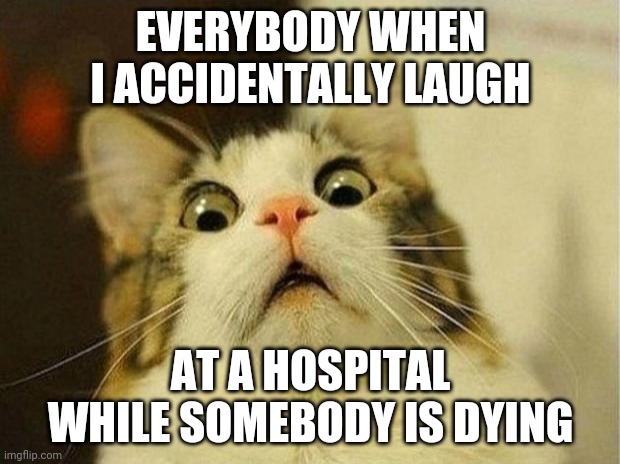 no more clever titles. its dying out. | EVERYBODY WHEN I ACCIDENTALLY LAUGH; AT A HOSPITAL WHILE SOMEBODY IS DYING | image tagged in memes,scared cat | made w/ Imgflip meme maker