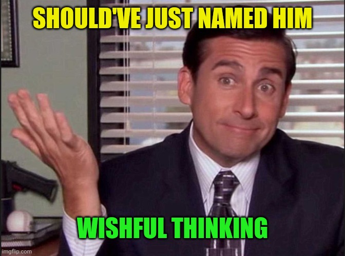 Michael Scott | SHOULD'VE JUST NAMED HIM WISHFUL THINKING | image tagged in michael scott | made w/ Imgflip meme maker