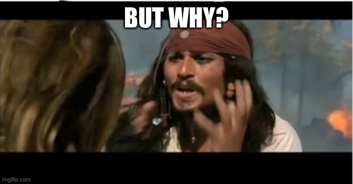 Why Is The Rum Gone Meme | BUT WHY? | image tagged in memes,why is the rum gone | made w/ Imgflip meme maker